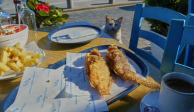 Uønsket fisk tilbys norske turister