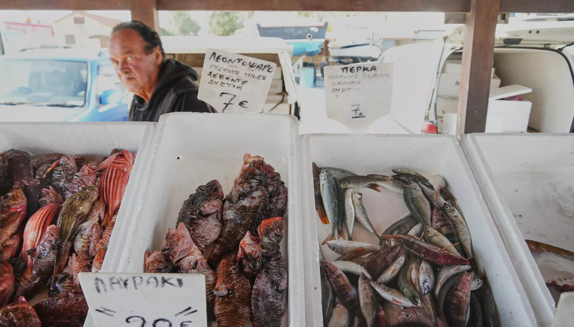 Dragefisk er konkurransedyktig priset sammenlignet med andre, populære arter. På fiskemarkedet i Larnaca-havnen koster dragefisk mindre enn halvparten så mye som havabbor. Her på et fiskemarked i Larnaka på Kypros. Foto: Petros Karadjias / AP / NTB