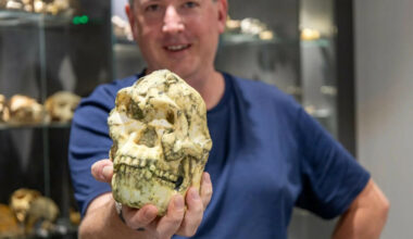 Kan endre hele historien