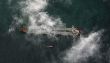 Har forsvunnet i hopetall