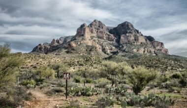 Døde timer før bryllupet