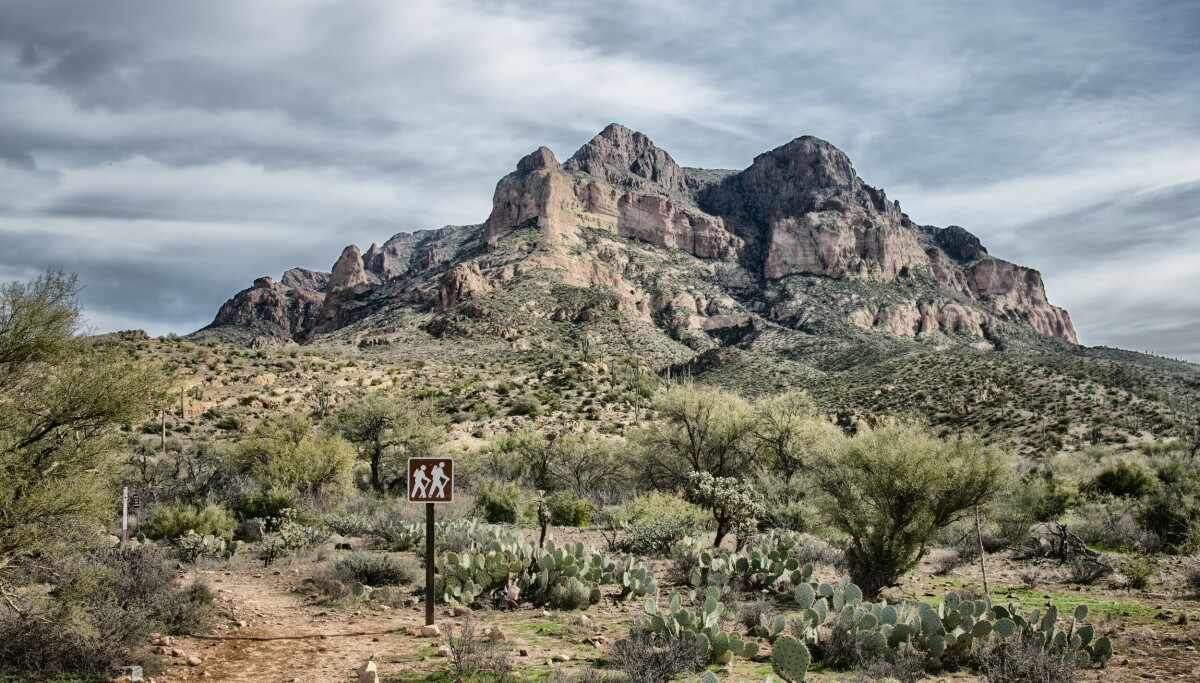 Døde timer før bryllupet