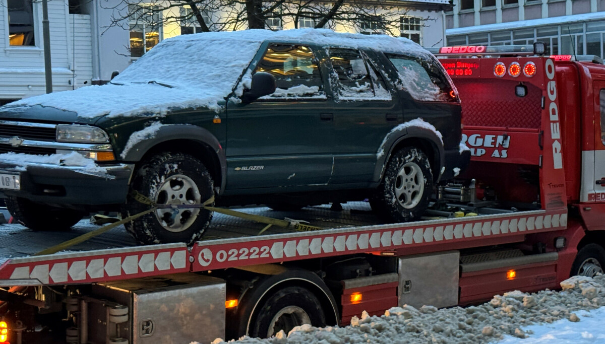 Disse bilene sliter mest om vinteren