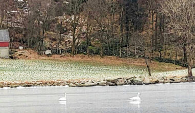 Ringes ned: - Folk blir bekymret