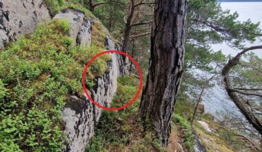 Spektakulært norsk funn: Holdes hemmelig