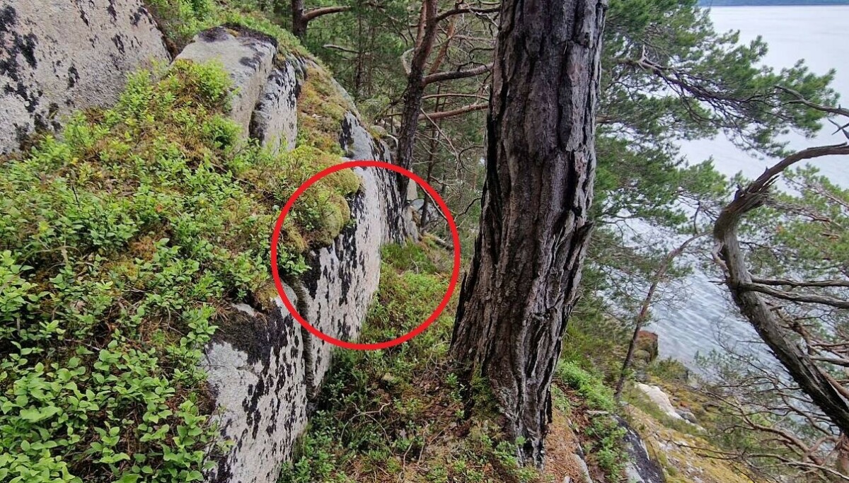 Spektakulært norsk funn: Holdes hemmelig