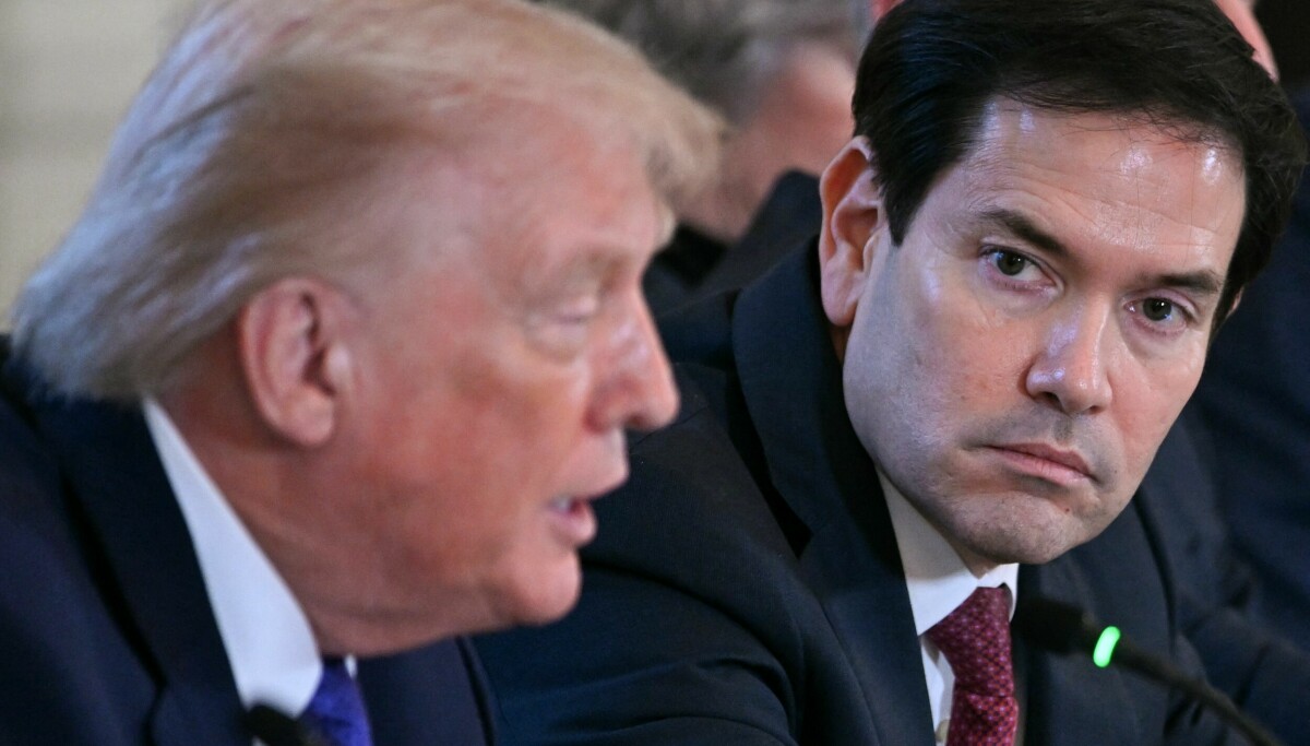 - Det kan gjøre ham til president