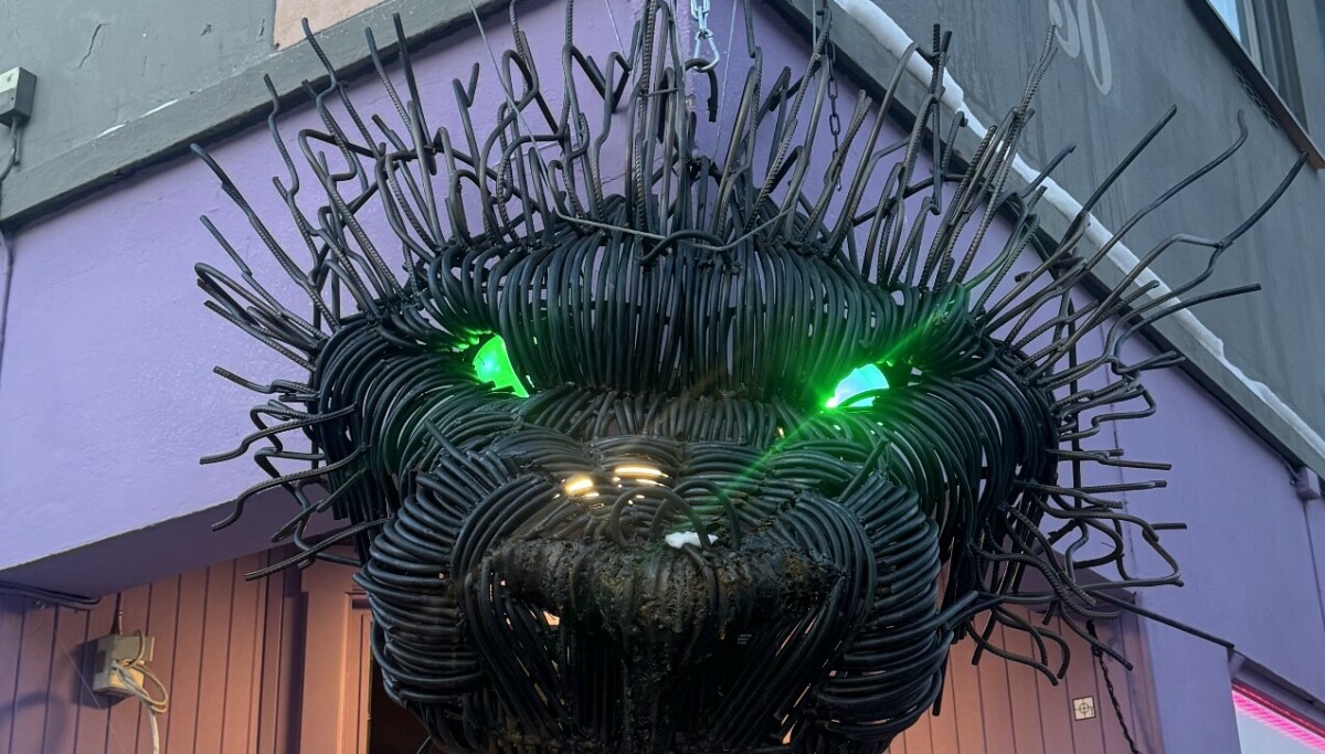 Lager trafikk-kaos: - Må fjernes