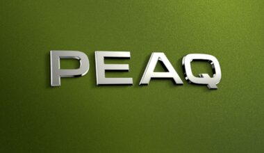 Lokker med nytt, elektrisk flaggskip