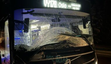 Buss kjørte på elg: - Totalskadd