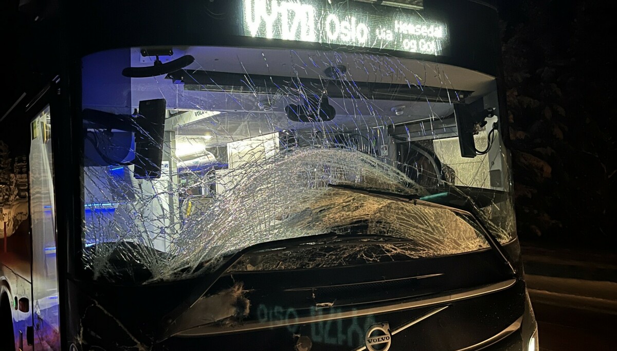 Buss kjørte på elg: - Totalskadd