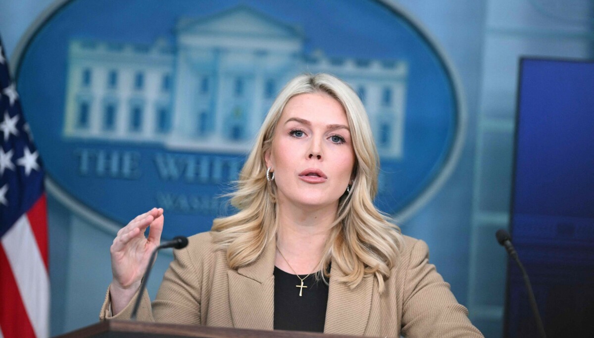 Arbeidsgruppe skal jobbe med «overtakelse av Grønland»