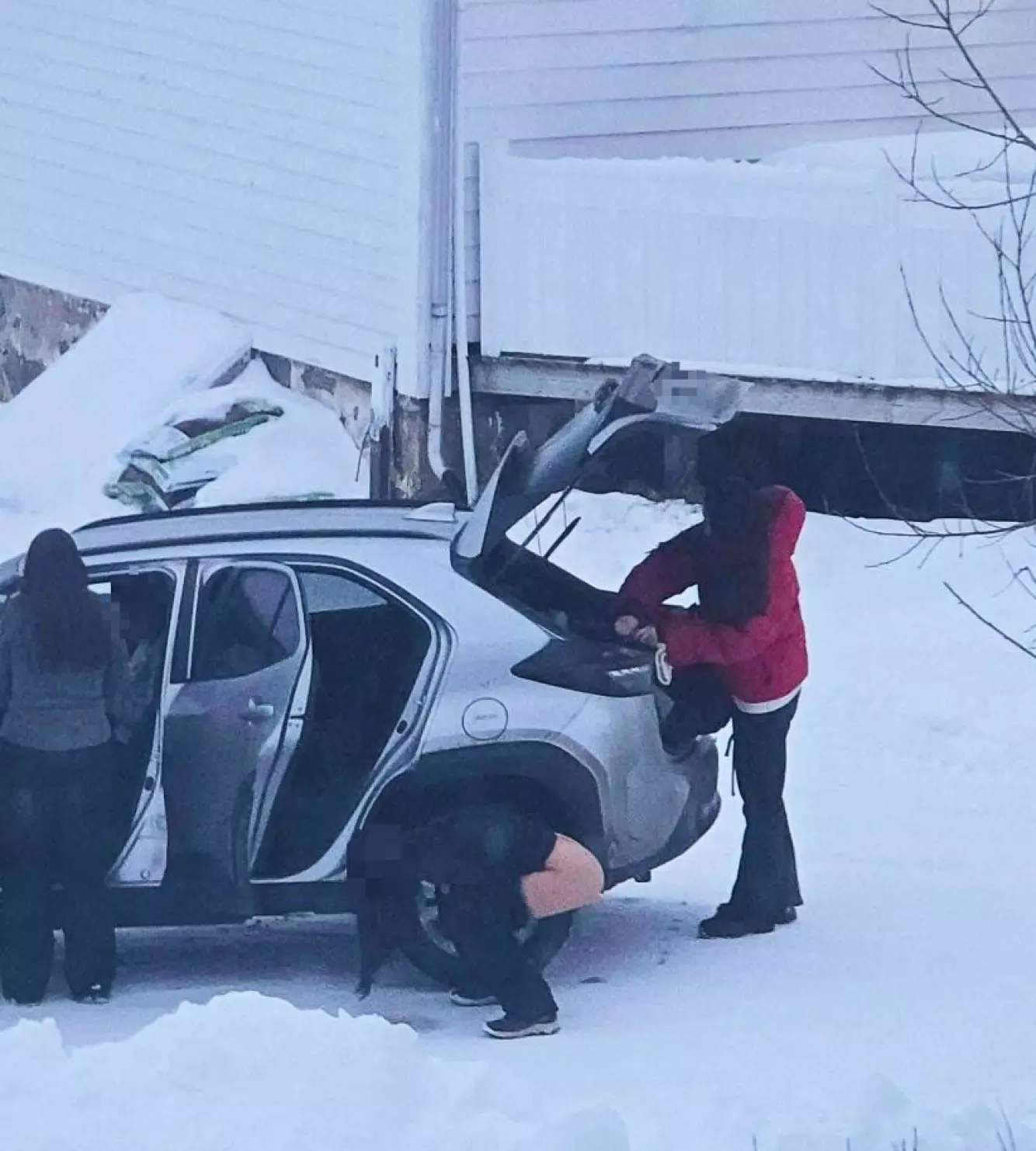 UTSIKT: Skuet fra Dag Scherffenbergs stue var noe helt for seg selv. Foto: Privat