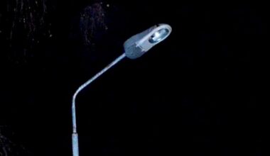 «En stor skam fra Harstad kommune»