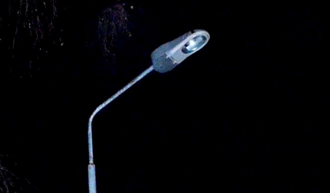 «En stor skam fra Harstad kommune»