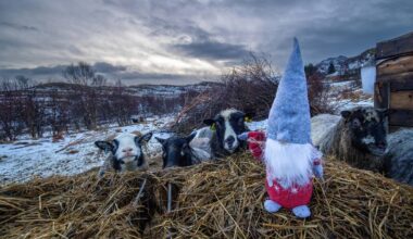 Flere historiske værrekorder satt – NRK Nordland