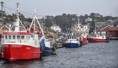 Fiskeforbudet i Oslofjorden: Sjekk hva det betyr for DEG - Fredriksstad Blad