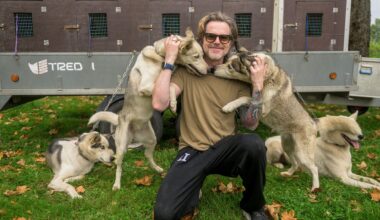 Kultur og underholdning, Hver gang vi møtes