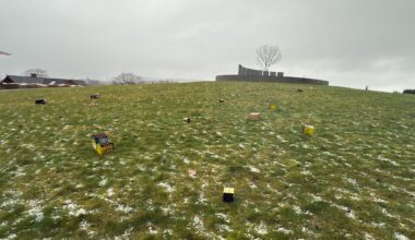 Nyttår, Time | Fortsatt kaos på utkikkspunktet: – Holdt tent fyrverkeribatteri over hodet - Jærbladet