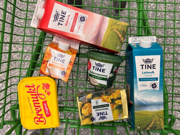 Nettavisens januar-pristest av dagligvarer