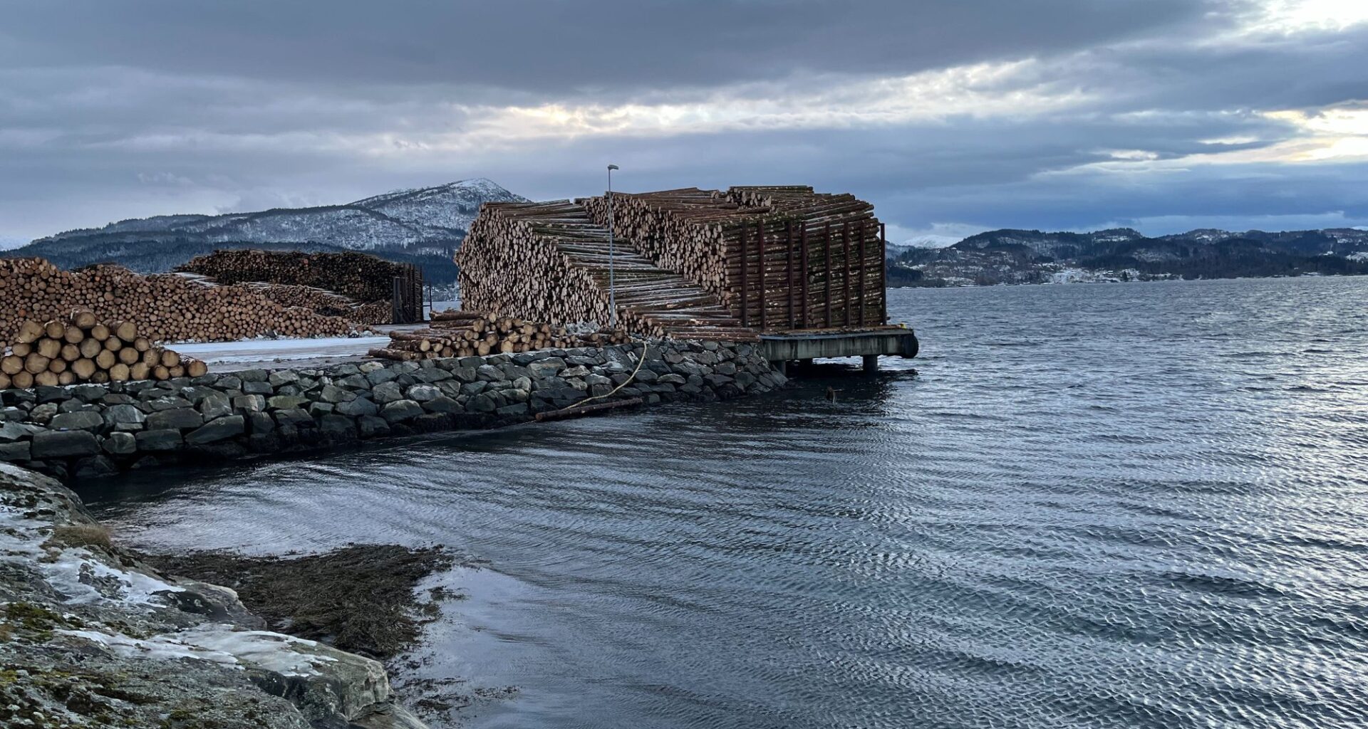 Osterfjorden, Alver | Hundrevis av tømmerstokkar i fjorden