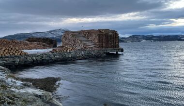 Osterfjorden, Alver | Hundrevis av tømmerstokkar i fjorden