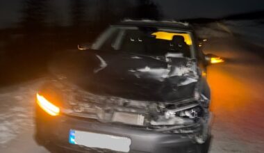 Trafikk, Vefsn | Knuste fronten i viltpåkjørsel