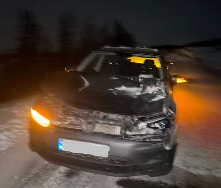 Trafikk, Vefsn | Knuste fronten i viltpåkjørsel