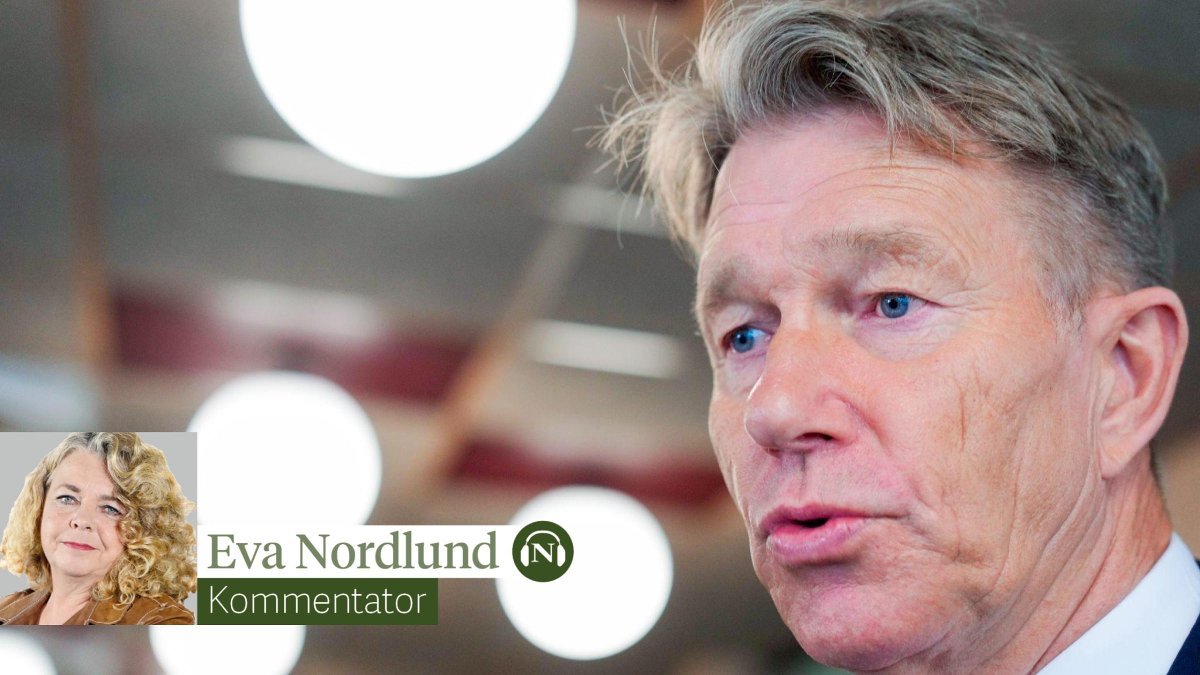 Strøm, Norgespris | Vil øke strømregninga med 5 milliarder