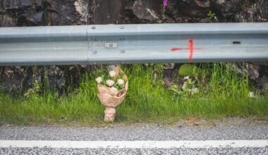 Trafikk, Statens vegvesen | Så mange omkom i trafikken i fjor