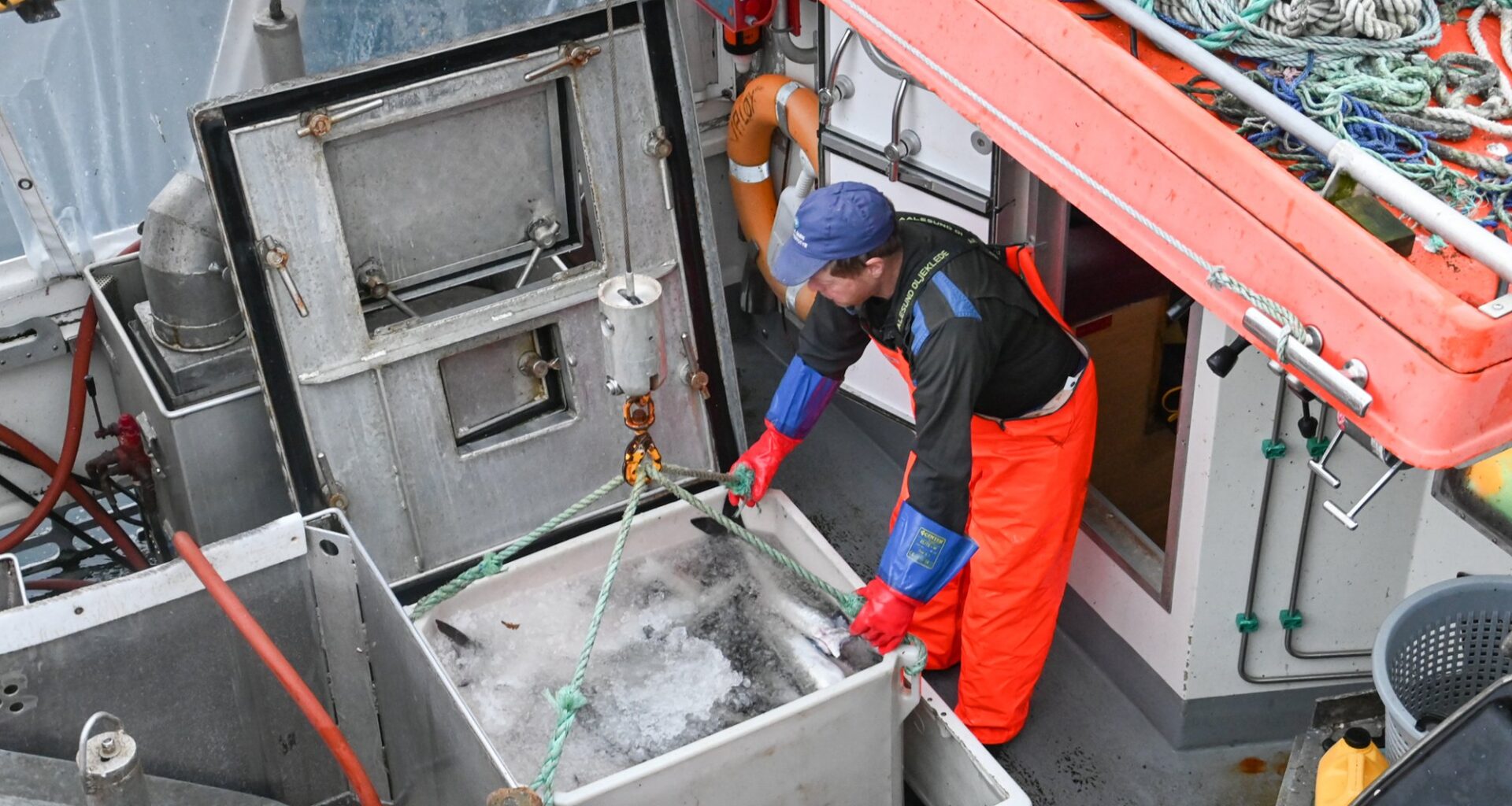 Norges råfisklag, Omsetning | Prisfest skapte omsetningsrekord