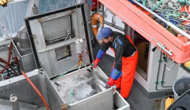 Norges råfisklag, Omsetning | Prisfest skapte omsetningsrekord