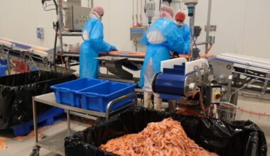 Filetfabrikken har sendt permitteringsvarsler | iLaks