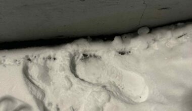 Person med finlandshette tok seg inn i lokalt treningssenter: – Det gir en skikkelig ubehagelig følelse! - Avisen Agder