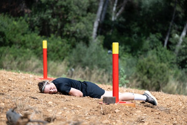 Mesternes mester 2026