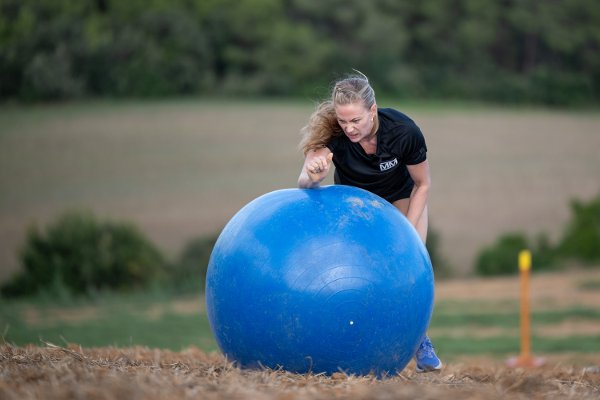 Mesternes mester 2026