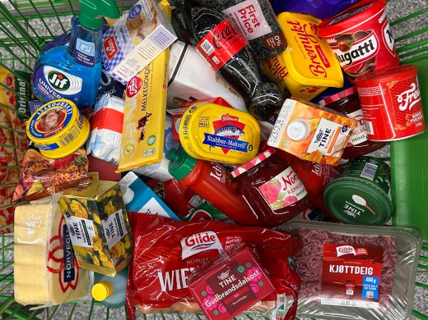 Nettavisens januar-pristest av dagligvarer