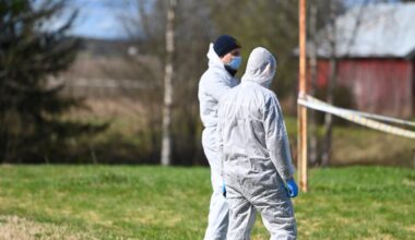 Nyheter, Nes | Dømt til tvungent psykisk helsevern for å ha knivstukket moren