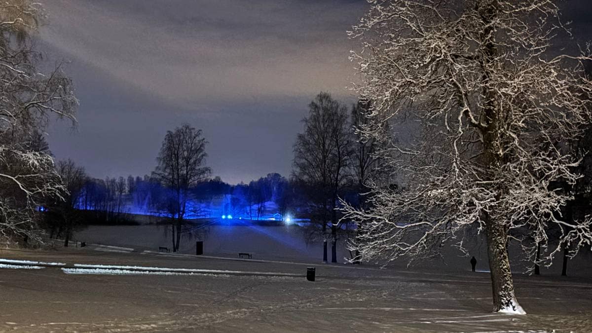 Bildet viser et snødekt landskap om natten, opplyst av blålys fra en eller flere kjøretøy i bakgrunnen. Trær med snø på greinene rammer inn scenen, og det er spor i snøen som indikerer aktivitet. I midten av bildet er det en søppelbøtte og benker. Bakgrunnen viser en vannoverflate med silhuetter av trær og bygninger. (Bildebeskrivelsen er laget av en KI-tjeneste)