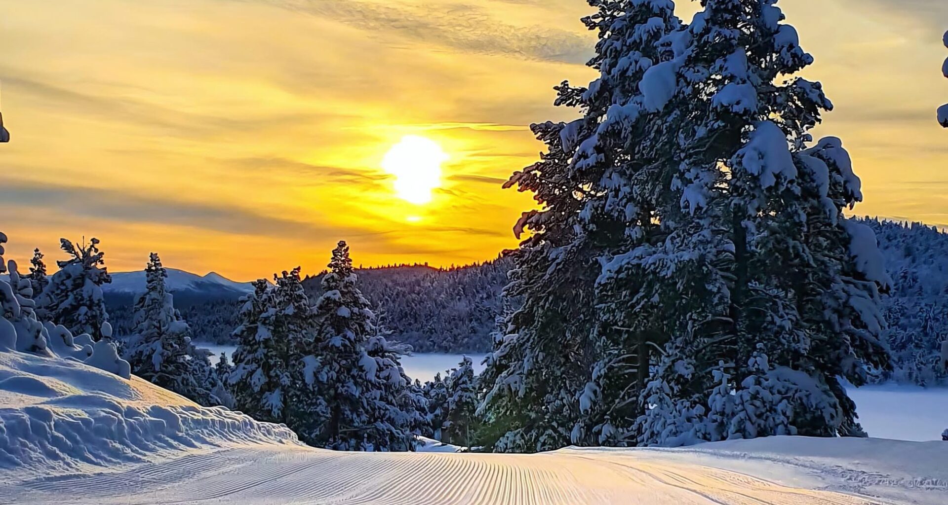 Østlendingens skiguide: Alt du trenger å vite om løyper og bakker i hele vårt dekningsområde - Østlendingen