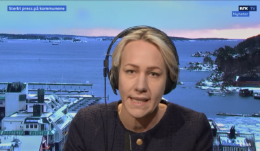 Kommunekommisjonen, Velferdsstaten | SV trenger endring i toppen