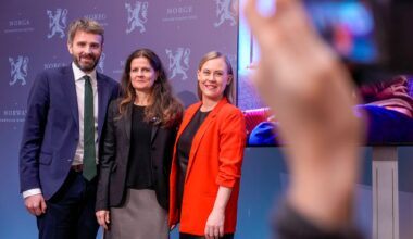 Nasjonale skjermråd, Sosiale medier | Legger hele byrden på foreldrene