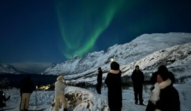 Turisme, Kriminalitet | Turismen gjør oss utsatt for organisert kriminalitet