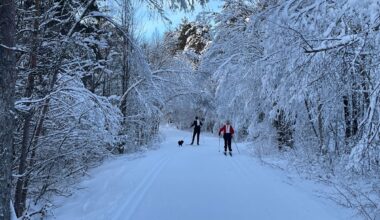 Skifolket jubler – her finner du nykjørte spor - rbnett.no
