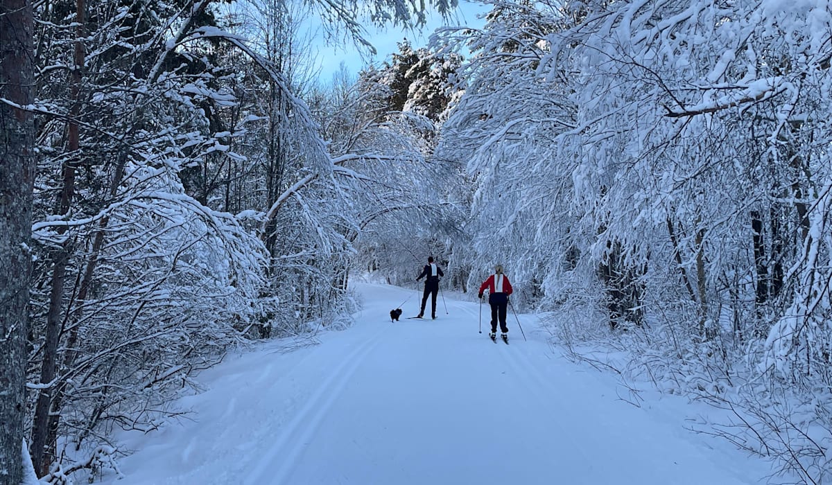 Skifolket jubler – her finner du nykjørte spor - rbnett.no