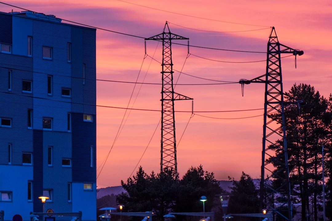 Kulda biter, men mange har ikke valgt Norgespris