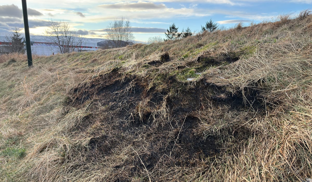 Fyrverkeri skal ha startet brann