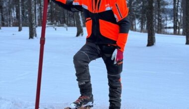 Sarpsborg kommune, Trær | Kommunen feller døde trær i Kulåsparken