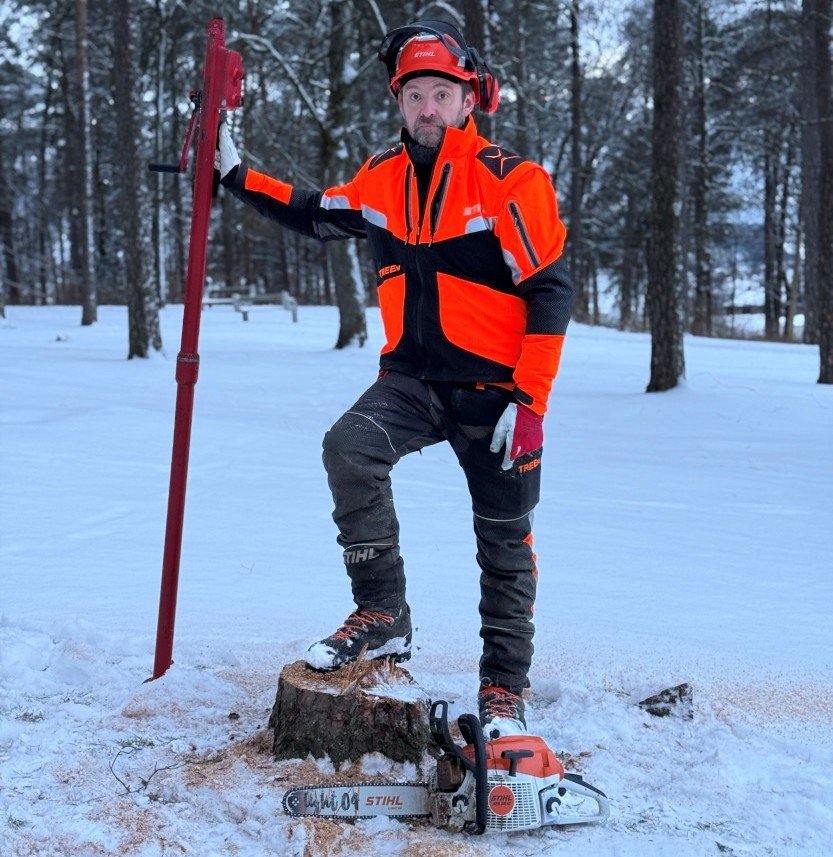 Sarpsborg kommune, Trær | Kommunen feller døde trær i Kulåsparken