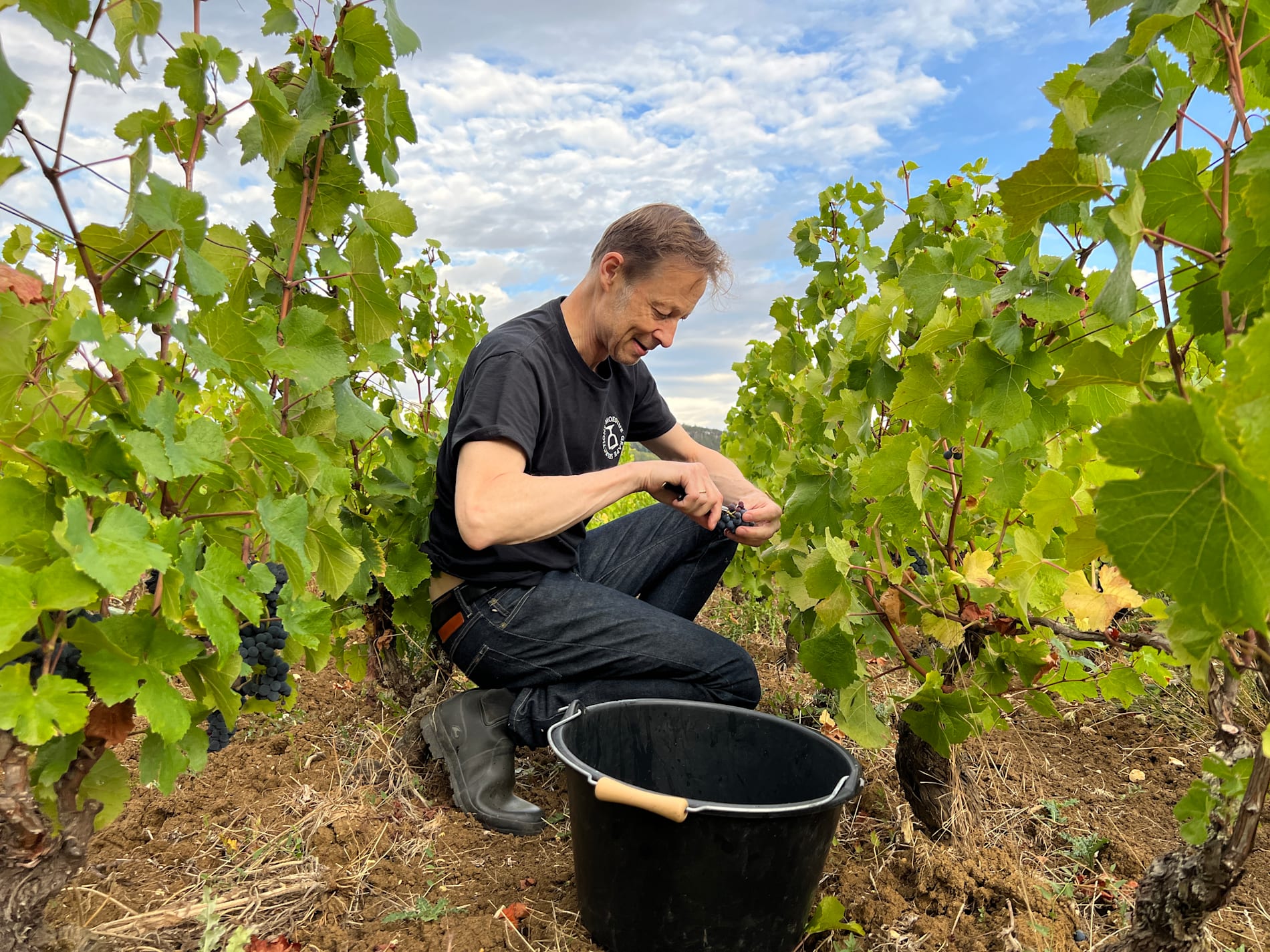 Vinimportør Christopher Moestue merker vinkrisen i Frankrike på to måter: pris og tilgjengelighet. Her i egen vinmark i Volnay i Burgund i 2022. 